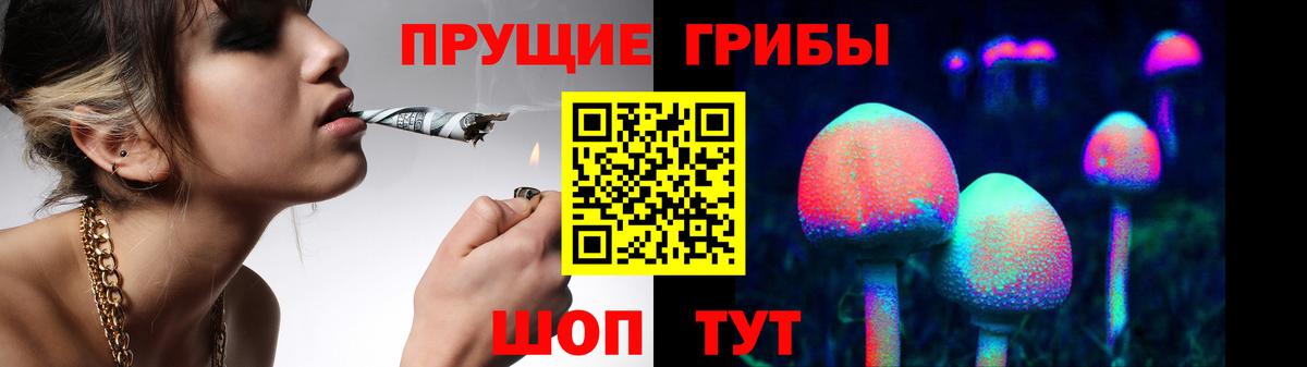 Галлюциногенные грибы Psilocybine cubensis  Псилоцибиновые грибы мухоморы  Нурлат  Вход с VPN 